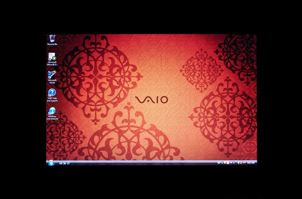 Sony VAIO CS